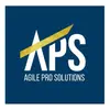 Agile Pro Solutions лого