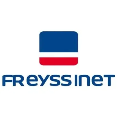 Freyssinet лого