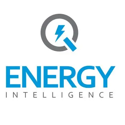 Енерџи Интелиџенс ДОО лого