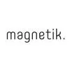 ДПТУ МАГНЕТИК ДООЕЛ СКОПЈЕ лого
