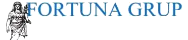ФОРТУНА ГРУП