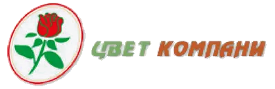 Цвет-Компани