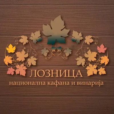 Ендлес Лимитед лого