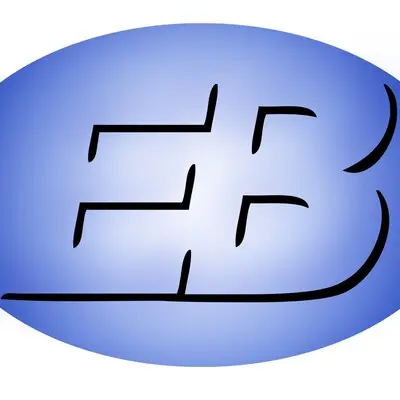 Електро визија лого